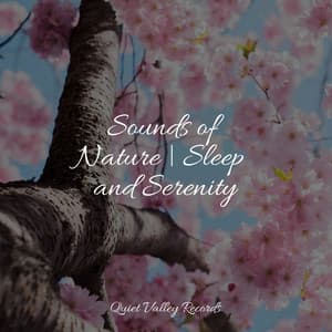Sounds of Nature | Sleep and Serenity - Saludo al Sol Sonido Relajante