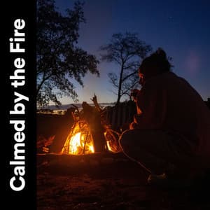 Calmed by the Fire - Fire Sounds Sleep