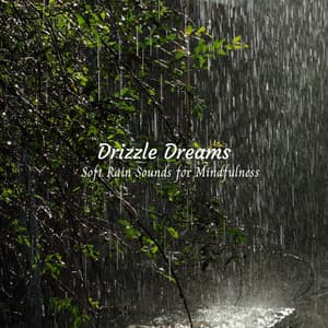 Drizzle Dreams: Soft Rain Sounds for Mindfulness - Rain relax