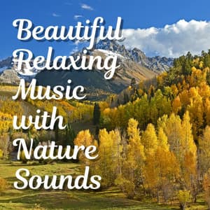 Beautiful Relaxing Music with Nature Sounds - Weather and Nature Recordings