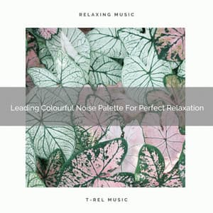 Leading Colourful Noise Palette For Perfect Relaxation - Baby Rain Sleep Sounds