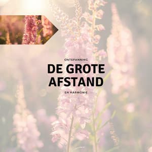 De Grote Afstand - Ontspanning en Harmonie