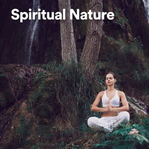 Spiritual Nature - Weather Garden