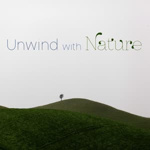 Unwind with Nature - Music of the Forest