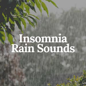 Insomnia Rain Sounds - Rainfall Meditations