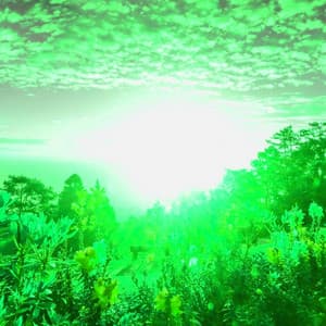 Music for Classic Madness - Soft Background Music