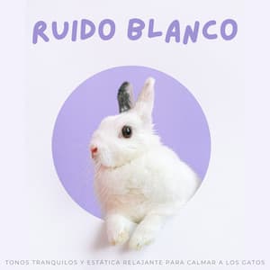 Ruido Blanco: Tonos Tranquilos Y Estática Relajante Para Calmar A Los Gatos - Android de ruido blanco