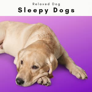Sleepy Dogs Vol. 2 - Sounds Dogs Love