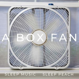 A Box Fan - Sleep Music