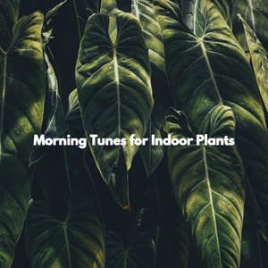 Morning Tunes for Indoor Plants - Music for Retail Stores