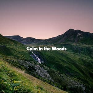 Calm in the Woods - Evening Chillout Playlist