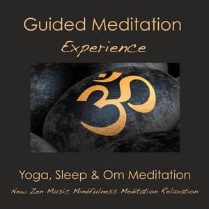 Guided Meditation Experience: Yoga, Sleep & Om Meditation - New Zen Music - Meditation Spirit