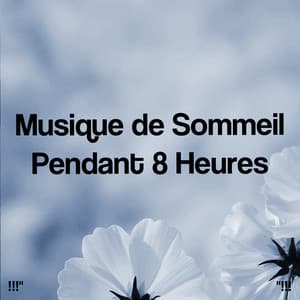 Musique de Sommeil Pendant 8 Heures - Musica Relajante