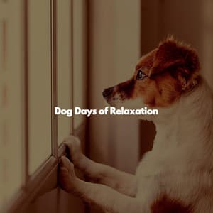 Dog Days of Relaxation - Jazz Connections for Reading