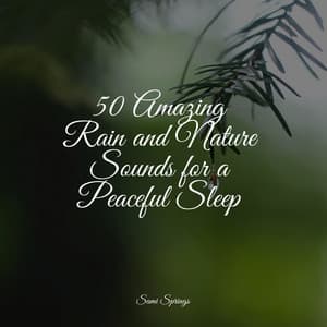 50 Amazing Rain and Nature Sounds for a Peaceful Sleep - Wave Sound Group