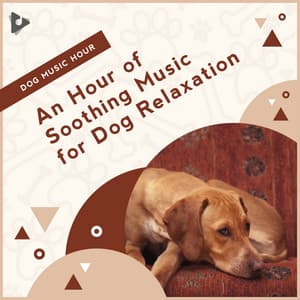 An Hour of Soothing Music for Dog Relaxation - Dog Music Hour