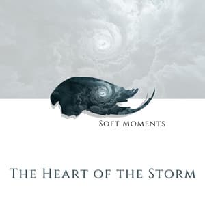 The Heart of the Storm - Soft Moments