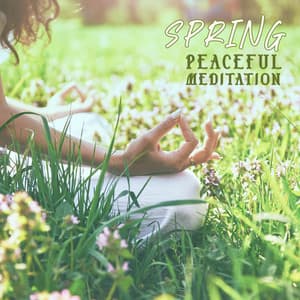 Spring Peaceful Meditation: Tranquil Vibrations, Body Rituals, Your Time - Quiet Music Oasis