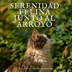 Serenidad Felina Junto Al Arroyo: Paisajes Acuáticos Relajantes - Marinos