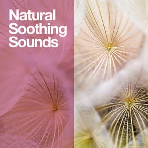 Natural Soothing Sounds - Nature Sounds Nature Music
