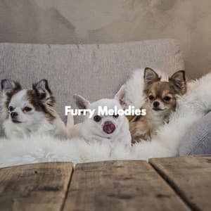 Furry Melodies - Relaxing Dog Music Classics