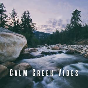 Calm Creek Vibes - Calming Sounds