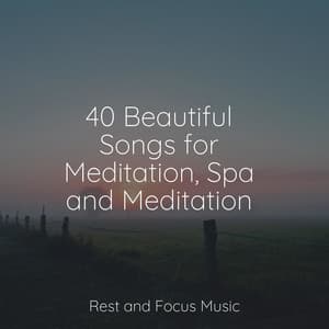 40 Beautiful Songs for Meditation, Spa and Meditation - Yoga Namaste