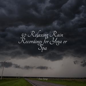 50 Relaxing Rain Recordings for Yoga or Spa - Nature & Sounds Background