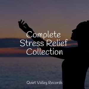 Complete Stress Relief Collection - Musica para Massagem Especialistas