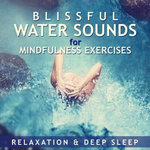 Blissful Water Sounds for Mindfulness Exercises, Relaxation & Deep Sleep: Beautiful Ocean, Sea, Forest Streams, Rivers & Waterfalls Soundscapes - Calming Waters Consort