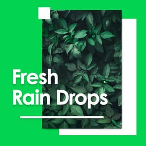 Fresh Rain Drops - Sounds for Life