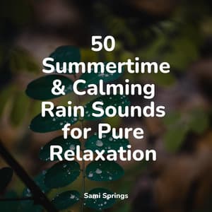 50 Summertime & Calming Rain Sounds for Pure Relaxation - Crying & Colic Relief