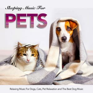 Sleeping Music For Pets, Relaxing Music For Dogs, Cats, Pet Relaxation and The Best Dog Music - Music For Pets