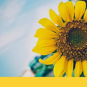 Carefree - Deep Sleep Meditation Radio