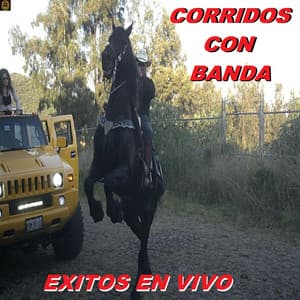 Exitos En Vivo - Corridos Con Banda