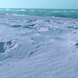 Successful Party - Jazzy Coffee