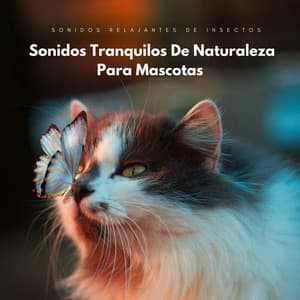 Sonidos Relajantes De Insectos: Sonidos Tranquilos De Naturaleza Para Mascotas - Melodía de la tierra