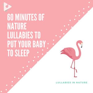 60 Minutes of Nature Lullabies to Put Your Baby to Sleep - Lullabies In Nature