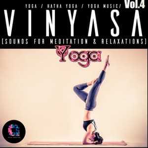 Vinyasa, Vol.4 - Hatha Yoga
