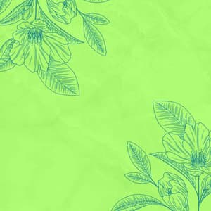 Feelings for Lightening Up Atmosphere - Thursday Morning Jazz Playlist