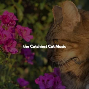 the Catchiest Cat Music - Holiday Jazz Ensemble Radio