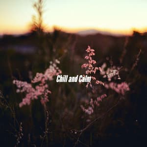 Chill and Calm - Upbeat Instrumental Music