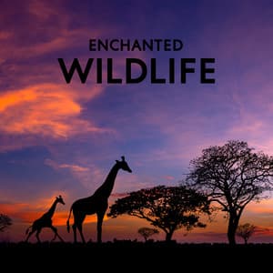 Enchanted Wildlife: Delicate African Nature Sounds, Relaxation in Wilderness - Awesome Nature Sounds Ensemble