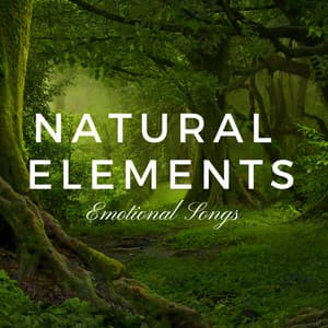 Natural Elements - Inner Inward Meditation, Harmony of the Elements, Relaxing Background Music, Emotional Songs - Natural Element