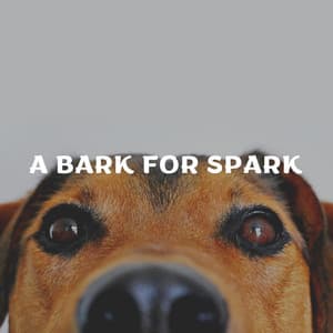 A Bark for Spark - Puppy Music