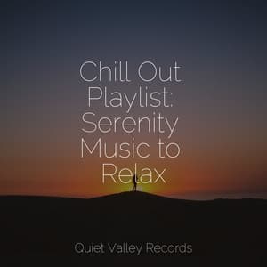 Chill Out Playlist: Serenity Music to Relax - Nature and Rain