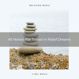 All Noises For Tuned-in Relief Dreams - White Noise Hour
