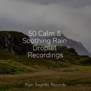50 Calm & Soothing Rain Droplet Recordings - Nature Sounds Nature Music