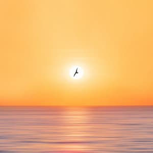 Mystic Waves of Healing: Oceanic Spa Haven - Tranquility Spa Center