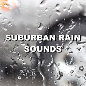 Suburban Rain Sounds - Wind and Rain Sounds